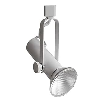 LumaPro 10J127 Track Fixture, 120V Par 30: Recessed Light ...