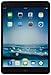 Apple iPad mini with Retina Display MF066LL/A (16GB, Wi-Fi + AT&T, Black with Space Gray) OLD VERSION