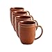 Rachael Ray Cucina Dinnerware 16-Piece Stoneware Dinnerware Set, Pumpkin Orange