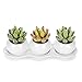 MyGift Set of 3 Realistic Artificial Succulent Planters w/Round White Ceramic Pots & Decorative Display Tray