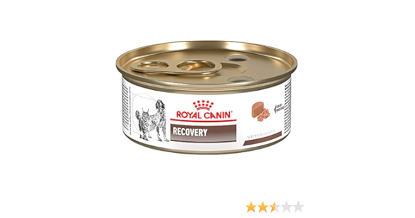 royal canin recovery rs