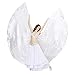Dance Fairy Belly Dance Silk-Like Isis Wings with Sticks
