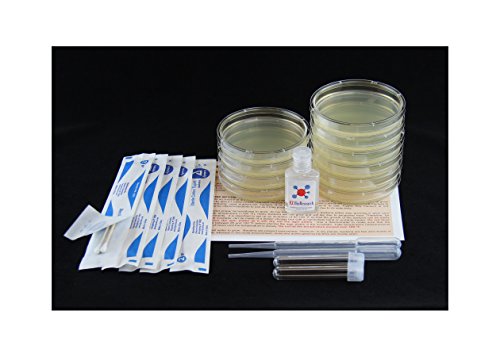 EZ BioResearch Bacteria Science Kit: Pre-poured LB Agar Plates and Cotton Swabs, E-Book for Science Fair Project with Award Winning Experiments