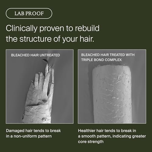 Living Proof Triple Bond Complex Leave-In Treatment and Hair Mask