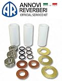 Annovi Reverberi 2546 Ceramic Plunger Repair KIT for RK RKA RKV 18mm Pump AR2546