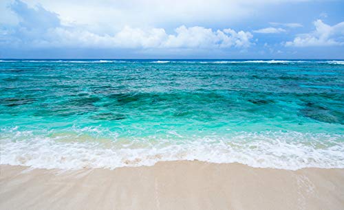Bora Bora Beach And Lagoon South Pacific Beaches Nature