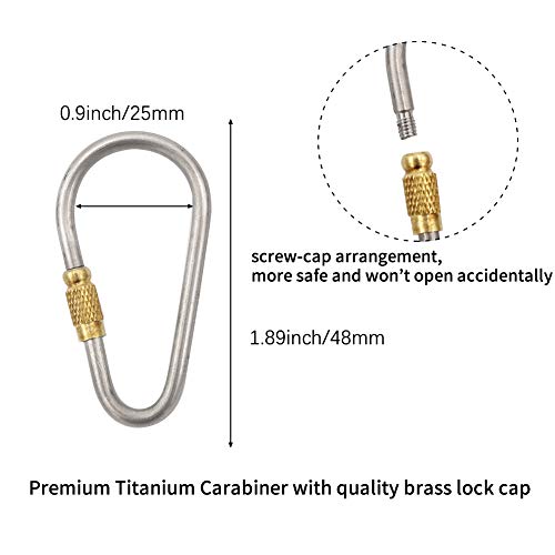 HRX Package Waterproof Stainless Steel Toothpick Holder Keychain with 2 Titanium Toothpicks, Portable Pill Fob Box for Purse Pocket, EDC Tool Kit with Titanium D-ring Locking Carabiner