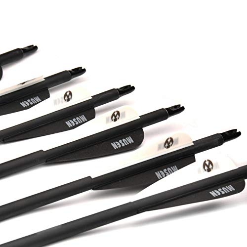 image for SMARTTREE Archery Carbon Arrows SP500 28'' 12Pcs Outdoor Target Huntin
