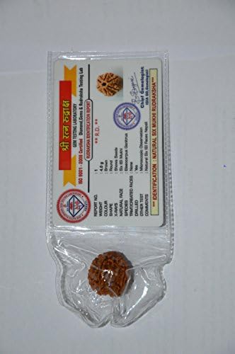 Disha Wooden 6 Mukhi Rudraksha (Certified)