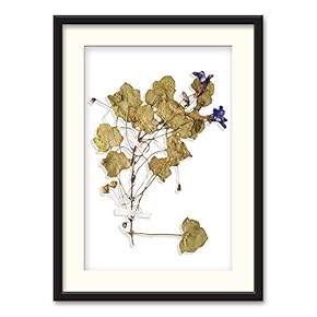 Black Paper Framed Canvas Wall Art for Living Room, Bedroom Simple Beautiful Leaves Canvas Prints for Home Decoration Ready to Hanging - 23x31 inches