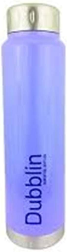 DUBBLIN by Priority Kitchen ICE Cube 1000ML Purple Stainless Steel Fridge Bottle