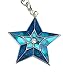 Feng Shui 2017 feng shui Heavenly Star Keychain