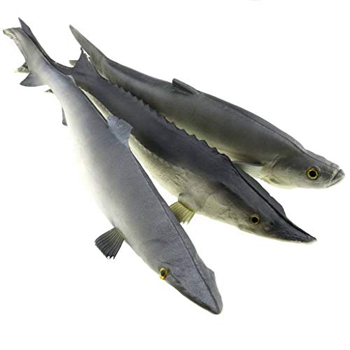 Gresorth 3 PCS Sea Creatures Fake Shark Chinese Sturgeon Fish Toy Model Photography Prop