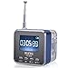 NiZHi TT-029 MP3 Mini Digital Portable Music Player Micro SD USB FM Radio (Blue)