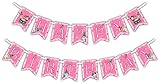 Kitty Cat Pink Kitten Happy Birthday Party Banner Decoration (Includes 23ft Ribbon)
