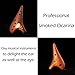 Aovoa Professional 12 Hole Ocarina Ceramic Alto C Ocarina (Brown)
