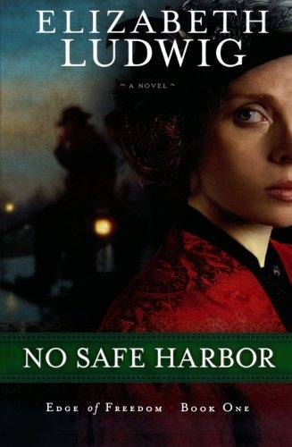 No Safe Harbor 1620905752 Book Cover