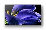 Sony Master Series A9G 65" Class Bravia HDR 4K UHD