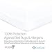 Zippered Box Spring Encasement by Red Nomad - Medical Grade Bed Bug Proof & Allergy Reduction Box Spring Protector - Queen Size
