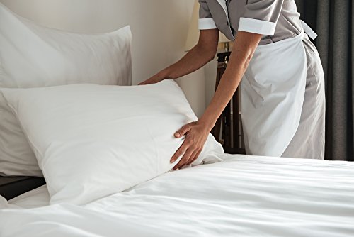 Set of 2 Premium 100% Down Pillows - 550 Fill Power (26oz.) - White Goose Down Sleeper - 100% Egyptian Cotton Shell - Queen Size, 20 x 30-inch - 400 Thread Count - Proudly Made in The USA