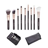 Aaronano 9 Pcs Makeup Brush Set Professional Face Eye Shadow Eyeliner Foundation Blush Cosmetics Blending Brush Tool
