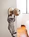 Cute Hanging Baby Kitten cat Door Decal Sticker #6067A