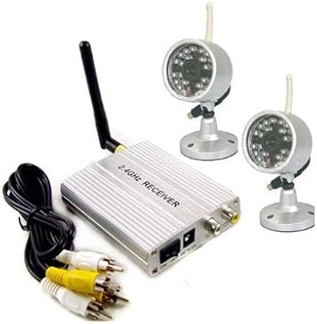 Bw 2 4g Wireless Diy Home Security Surveillance Cctv Video System With 2pcs Ir Night Vision Color Cameras Amazon Co Uk Diy Tools