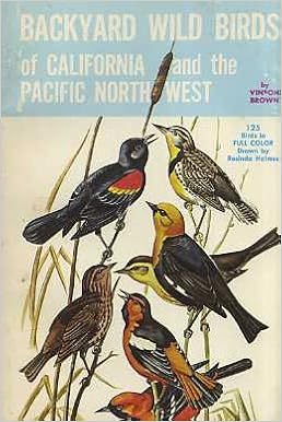 Backyard Wild Birds Of California And The Pacific Northwest