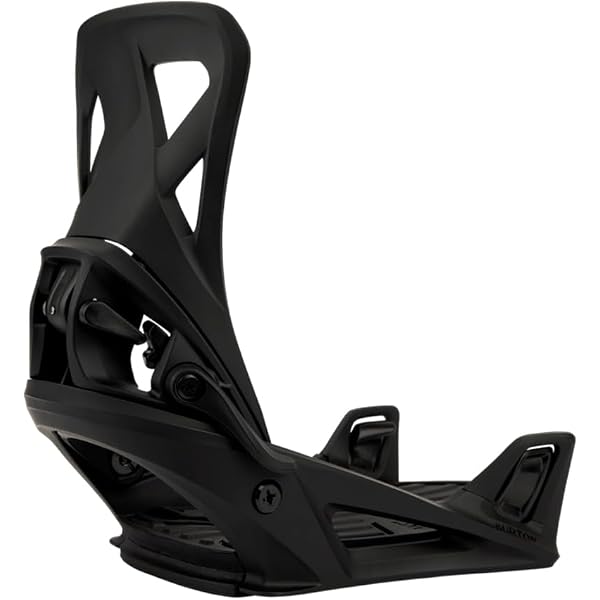 salomon astra skis 2016 Salomon Astra (2016)