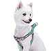 Blueberry Pet Step-in Pink Flamingo on Light Emerald Dog Harness, Chest Girth 23.5