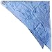 Chilly Dana Cooling Bandana