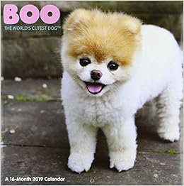 cutest dog ever 2018