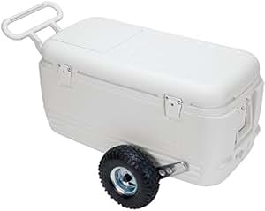 amazon cooler sale