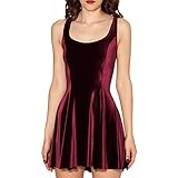 Sheoutfit Women's Hot Velvet Skater Dress