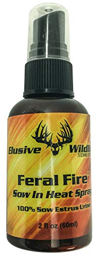 Elusive Wildlife Feral Fire Sow in Heat Scent Spray