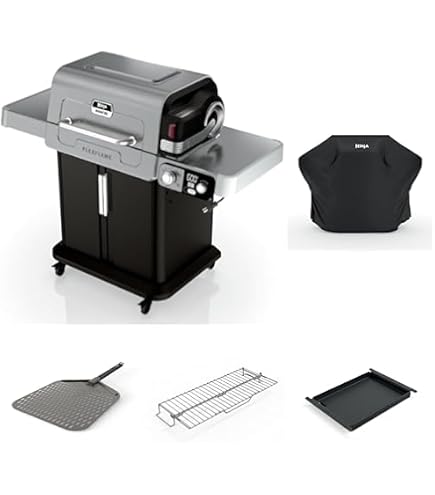 Amazon.com : Ninja FlexFlame, Master Grill Pack, Electric