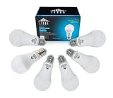 Leson 100 Watt Equivalent A19 LED Light Bulb Standard E26/E27 Base 13W Energy Saving, Daylight Cool White 6500k (6 Pack)