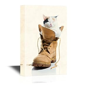 Cat Inside Climbing Boot