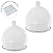 Set of 2 Decorative Clear Glass Air Plant Terrarium/Centerpiece Accent Ornament with Saucer - MyGift®