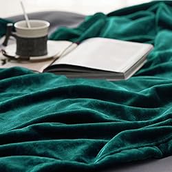 Bedsure Fleece Blanket Throw Blanket Emerald Green