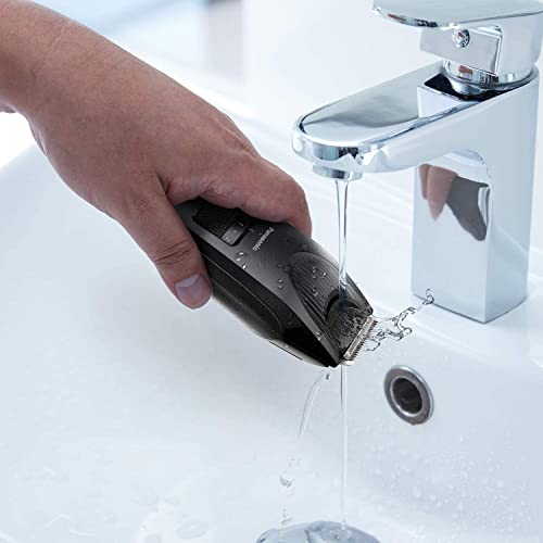 Panasonic Men's Precision Power Beard, Black Mustache and Hair