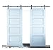 DIYHD MM20D 10FT Rustic Black Double Sliding Barn Door Hardware