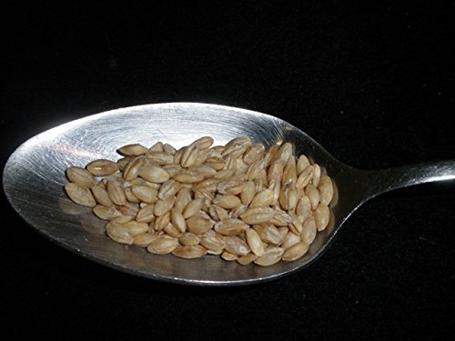 Hulled Barley 5 Pounds (dehulled) USDA Certified Organic Non-GMO Bulk