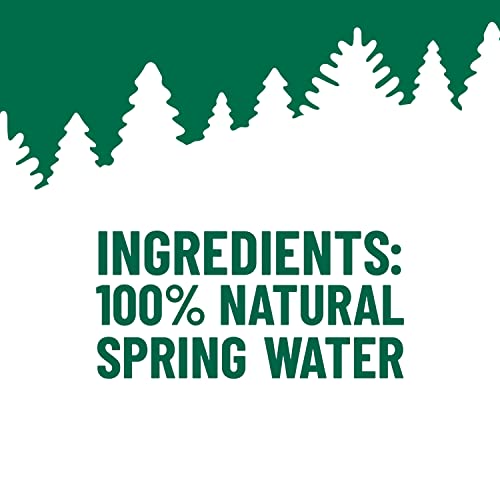 POLAND SPRING SPRING WATER, 30.4 FZ