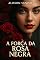 Livro A força da rosa negra