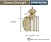 Sea Gull Lighting 8507-02 Classico One-Light Outdoor Wall Lantern with Clear Beveled Glass Panels, Polished Brass Finish