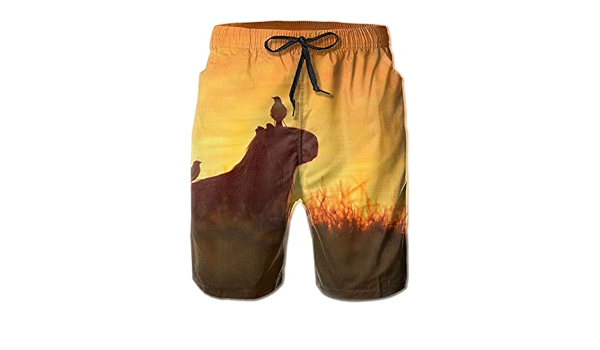 Mens Quick Dry Swim Trunks Beach Shorts 