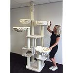 Tiragraffi per gatti grandi xxl Catdream de Luxe Crema maine coon robusto adulti grande gatto albero enormi giganti XL