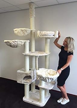 RHRQuality Kratzbaum große katze XXL Catdream Extreme Creme Stabil 54KG. Sisalstämme 12cm Ø Speziell für große und schwere Ka