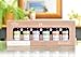 ArOmis Essential Oil Kit - Organic - Pure Therapeutic Grade - Undiluted Premium 150 Micron Filtered for Nebulizer Use (0.34 Fl Oz (Pack of 6), Basic Kit)